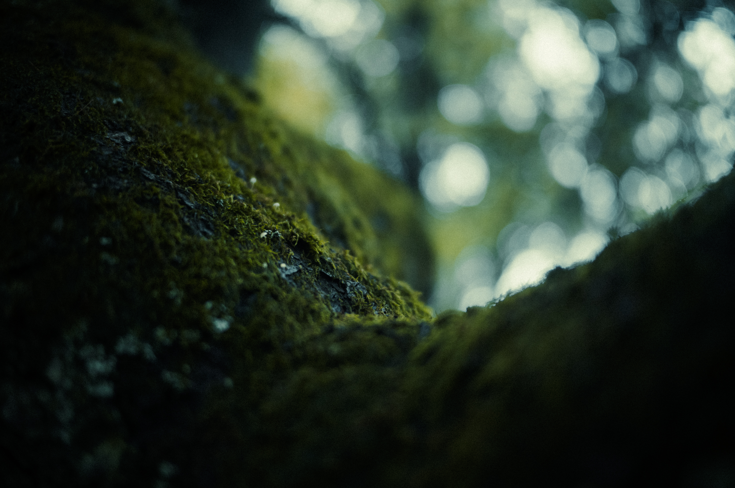 England_013