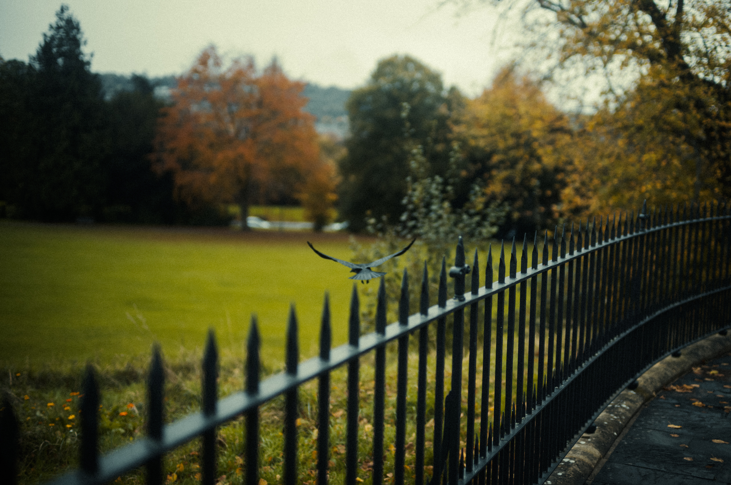 England_023