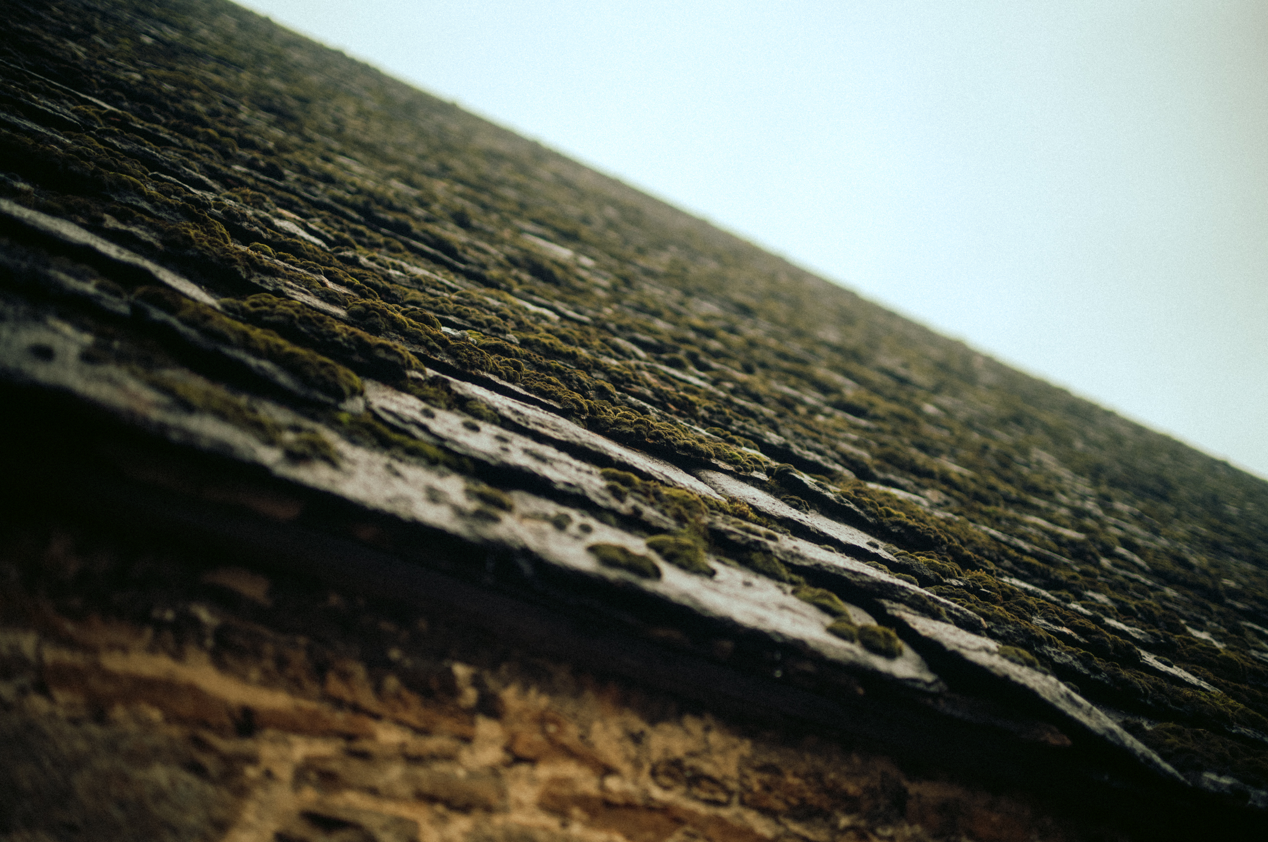 England_028