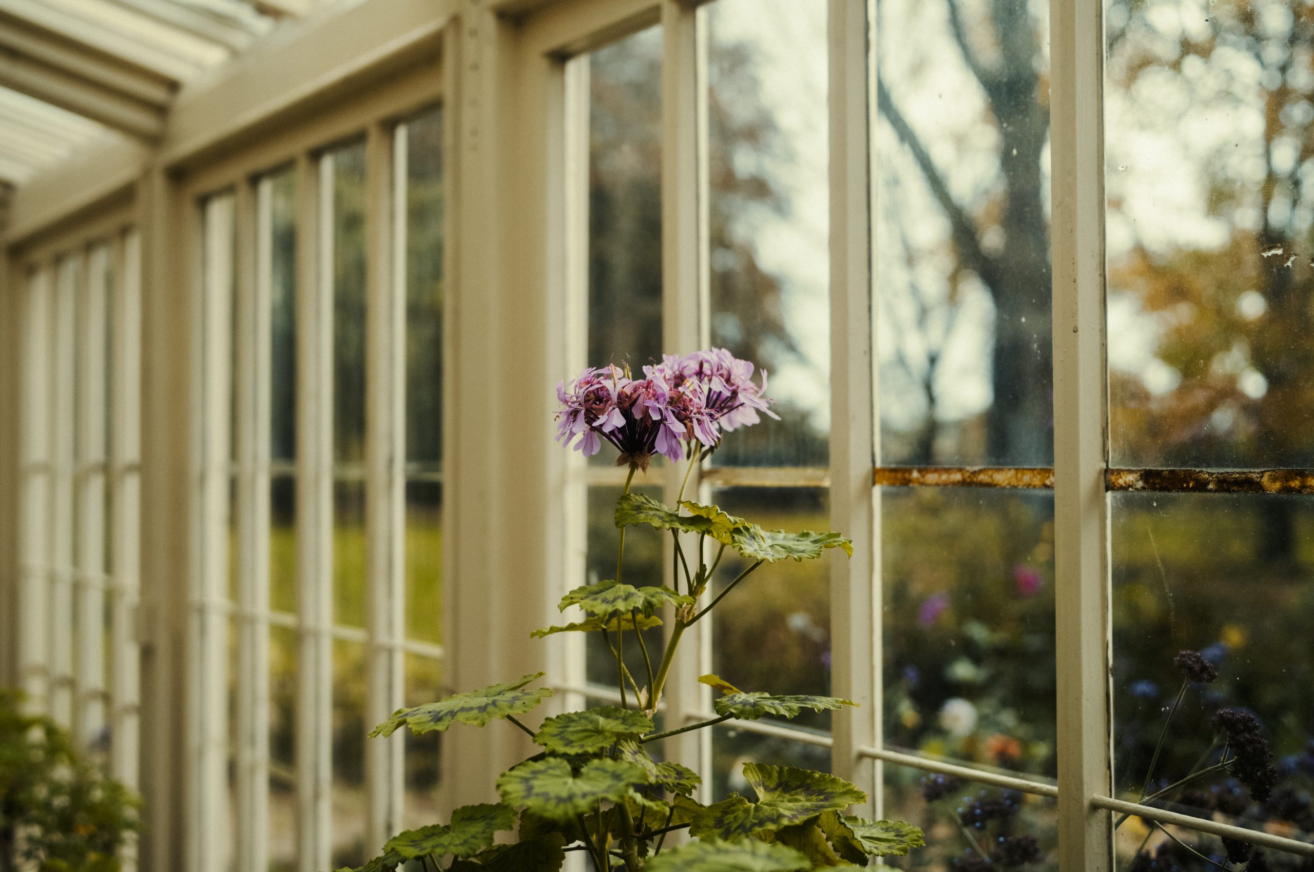 LacockAbbey_001