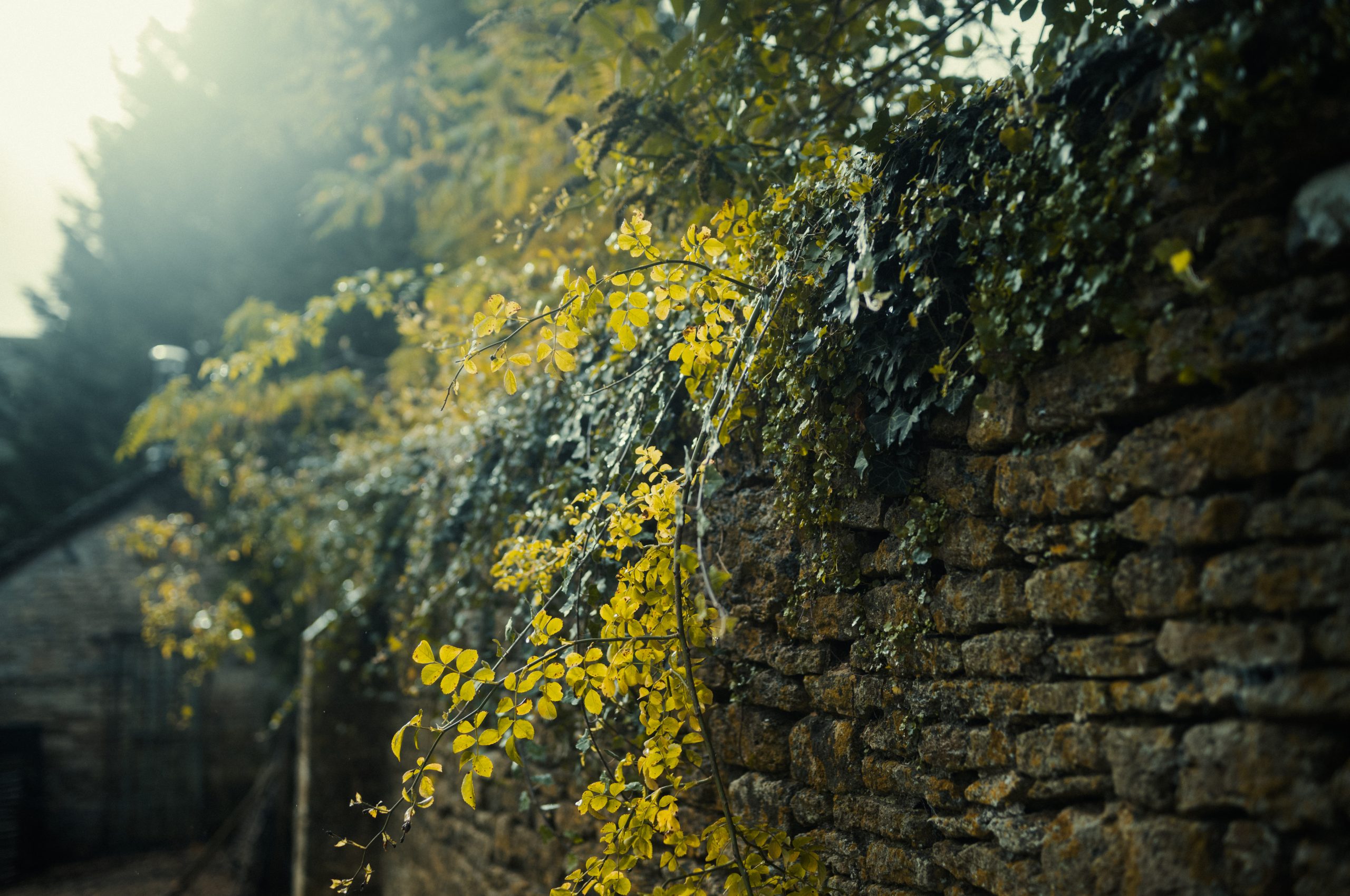 LacockAbbey_004