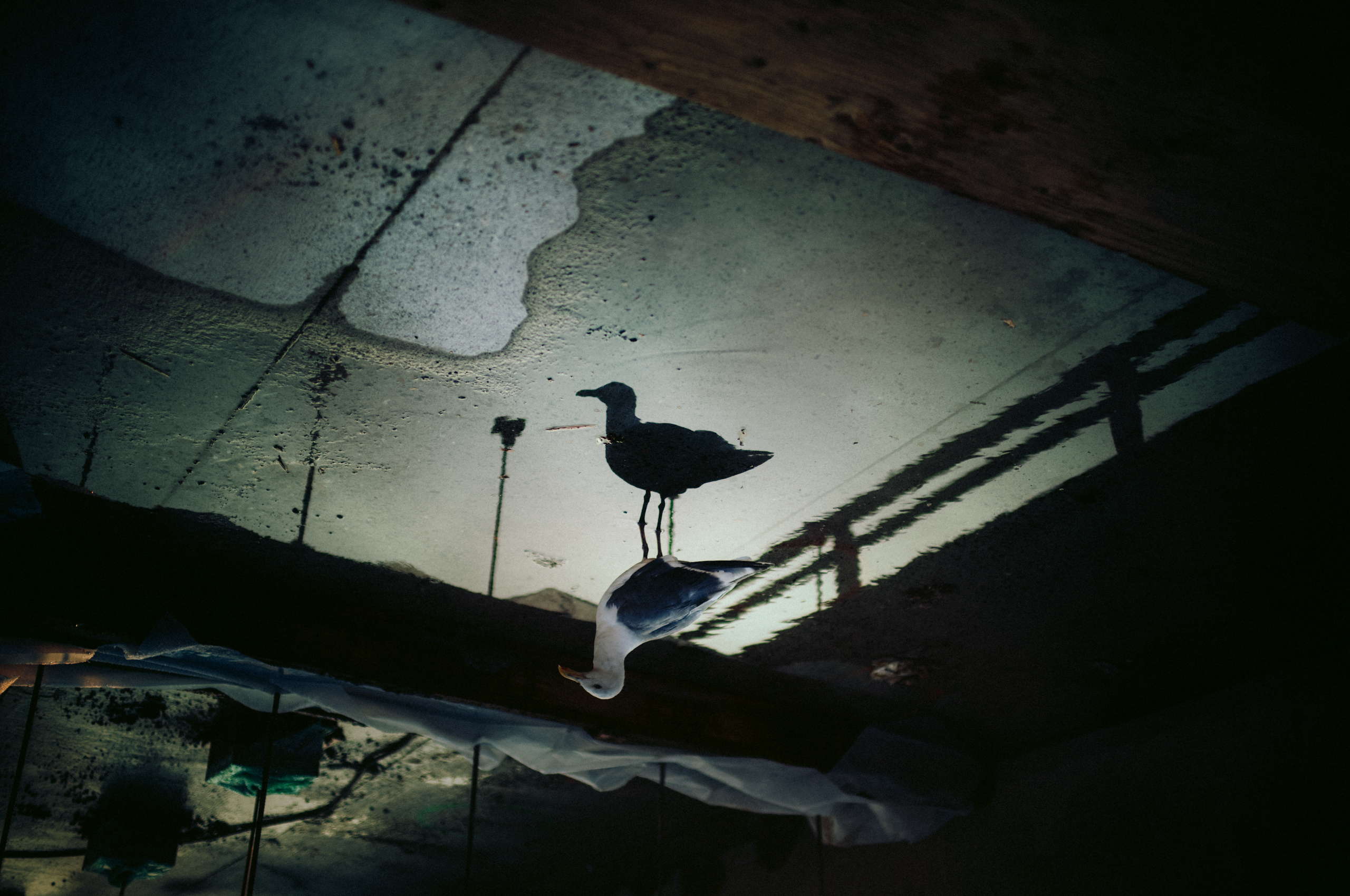 Seattle_013