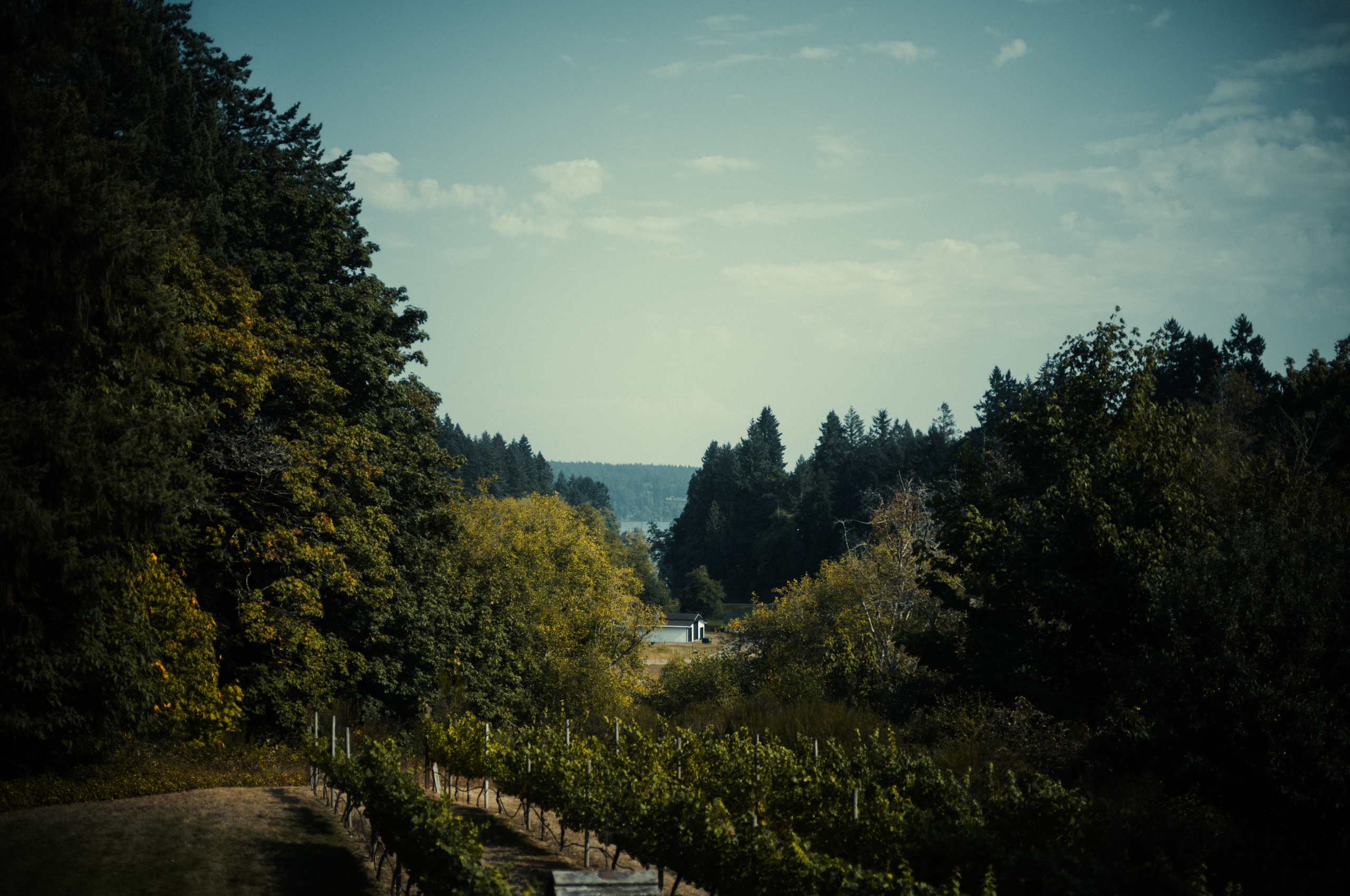 Seattle_033