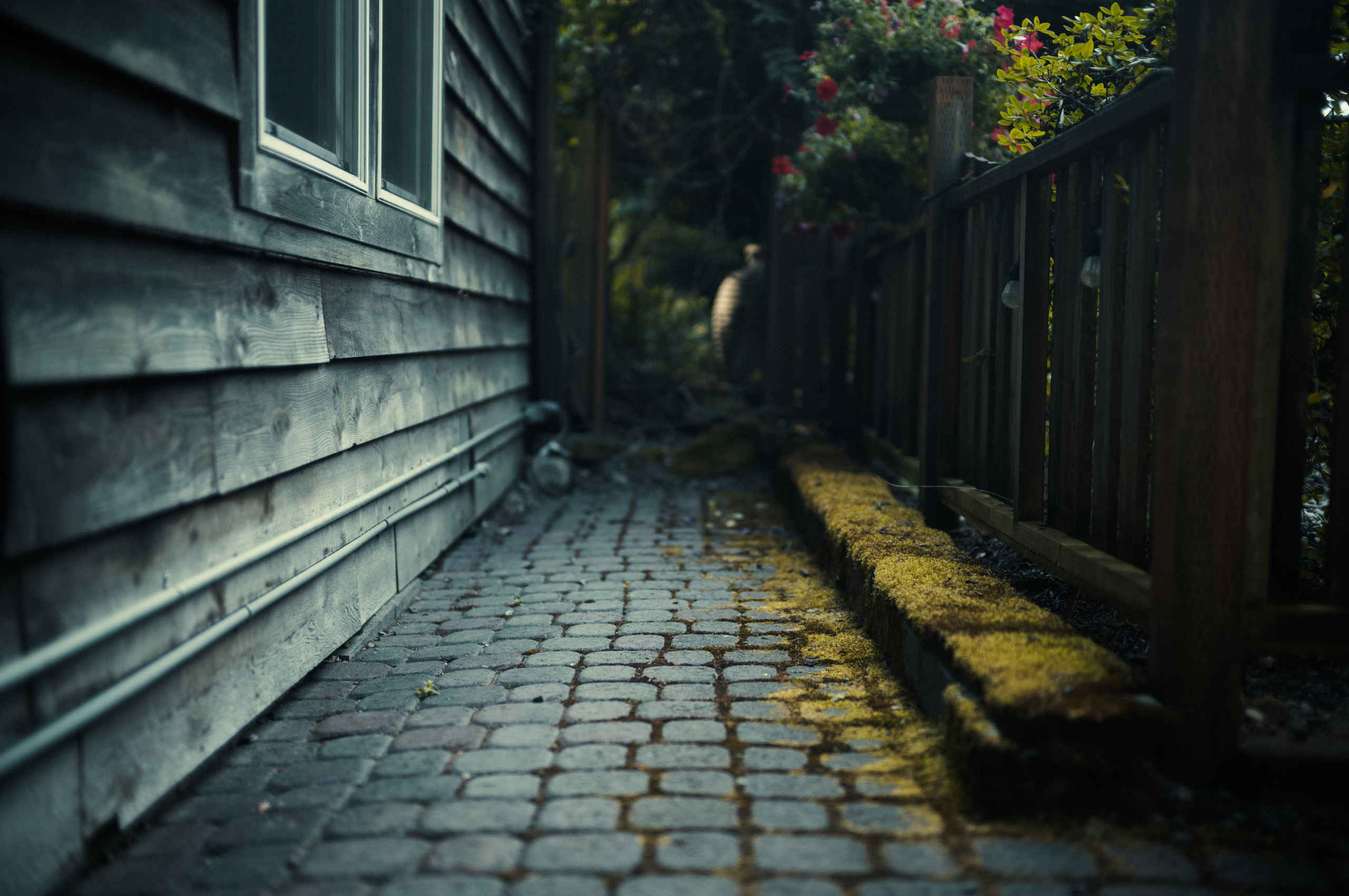 Seattle_034